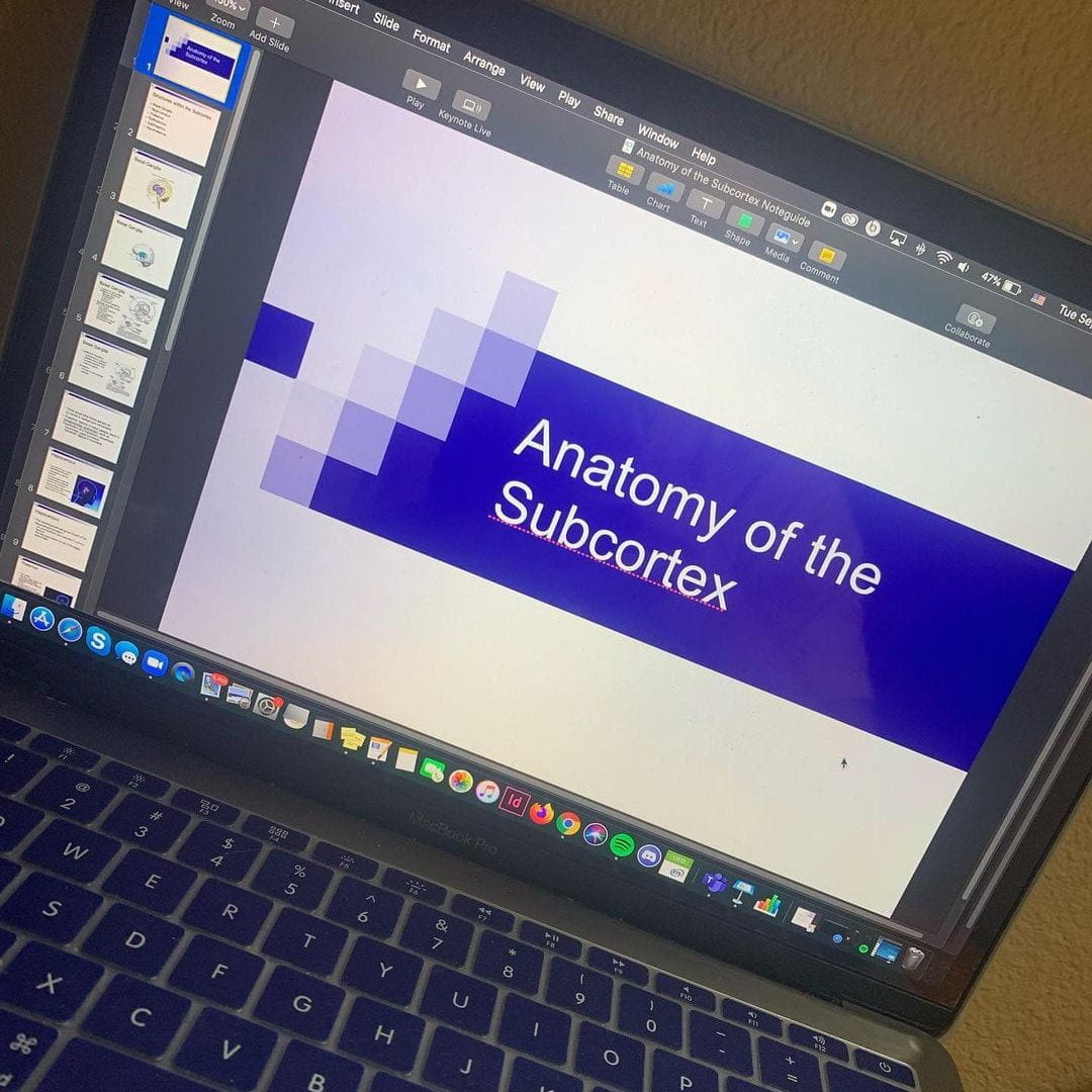 Laptop screen with powerpoint slides