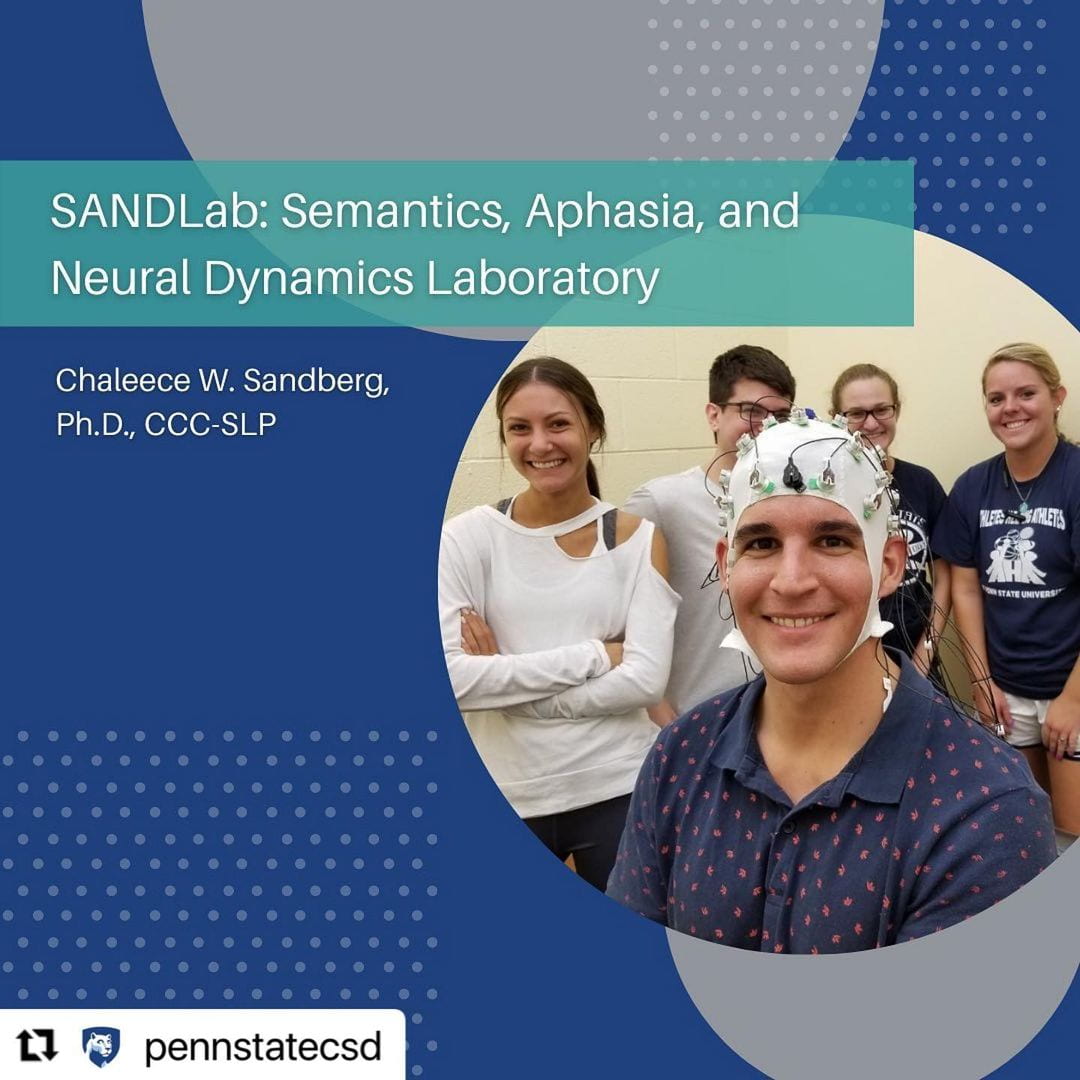 SANDLab: Semantics, Aphasia, and Neural Dynamics Laboratory.